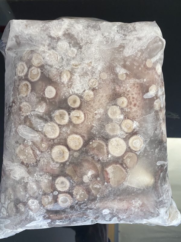 Pulpo del norte "Block"